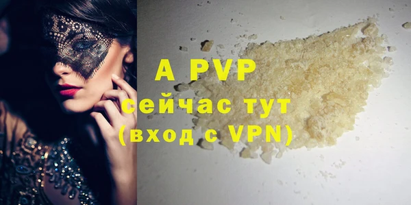 стаф Балахна