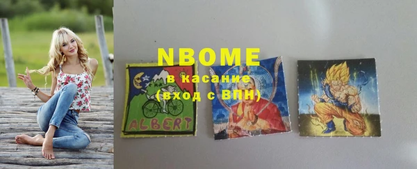 индика Кинешма