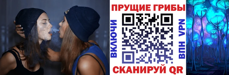 Галлюциногенные грибы Psilocybe  сколько стоит  Петров Вал 